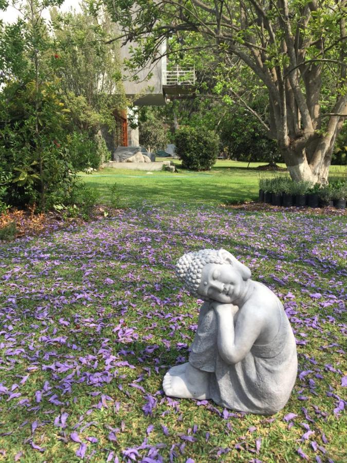 Zen Home & Garden House سيينيغيلا المظهر الخارجي الصورة